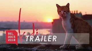 Kedi (2016) - Trailer | BELDOCS 2018