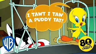 Looney Tuesdays | Every Time Tweety Said 'I Tawt I Taw a Puddy Tat!' | Looney Tunes | @WB Kids