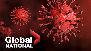 Global National: Nov. 30, 2021 | More travel restrictions as Omicron raises vaccine questions