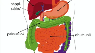 Osaan Suomessa - Biologia Ayl1 Ruuansulatus