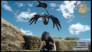 FF15 原石のところの巨大な鳥