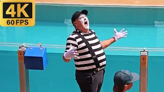 The mime Tom was so hilarious in this show! 😂🤣 #tomthemime #seaworldmime #seaworldorlando