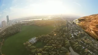 Vienna from an eagle's eye view - 360° (long)