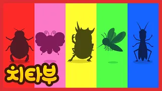 [모음집] 나는 어떤 곤충일까 ❓ 다양한 곤충들을 만나요 ❗ | Insect for kids | 인기동요 | 신나는 동요 | #치타부
