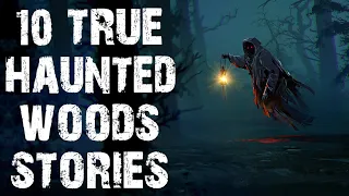 10 TRUE Disturbing & Terrifying Haunted Woods Horror Stories | Scary Stories To Fall Asleep To