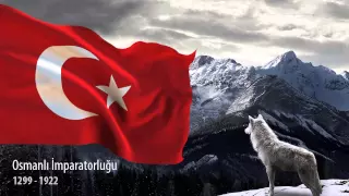 Türk Devletleri (3D Bayrak)