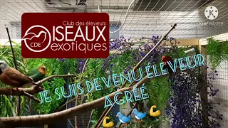 Je suis devenu éleveur d'exotique agréé + suivi d'élevage