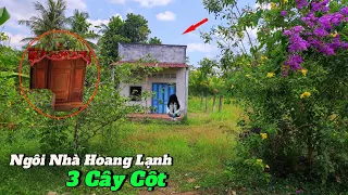 Cận cảnh ngôi nhà hoang lạnh của ông lão bất hạnh