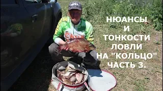 Ловля леща на "КОЛЬЦО" для начинающих.ЧАСТЬ 3: Практика.