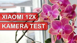 Xiaomi 12X Kamera Test [8k60]