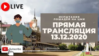 13.12.2020. Прямая трансляция с ЦМИ. Первые зимние традиционные призы.