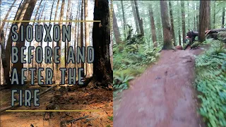 Fire and Rebirth. Siouxon Creek Before and After the Big Hollow Fire