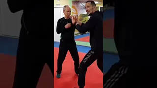 Вин Чун отрывок с открытой тренировки. Николай Дидык. #vingtsunkungfu #винчунь #винчун #fight