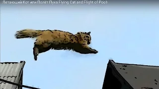 Летающий Кот или Полёт Пуха Flying Cat and Flight of Pooh