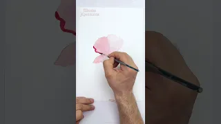 Как быстро нарисовать цветок мака