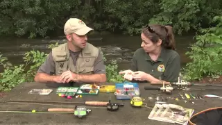 How To Choose a Trout Lure