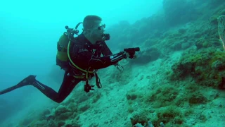 Diving @ Zanzibar. Best dive-sites