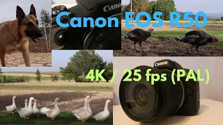 Canon R50 - Video 4K / 25 fps (Croatia, Poland)