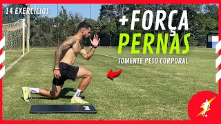 14 EXERCÍCIOS DE FORÇA PARA PERNAS SEM EQUIPAMENTOS | Treino para aumentar a força de pernas