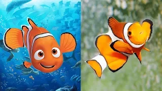 Finding Dory Characters In Real Life | All Characters 2017