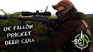 S&C TV | Deer management with Chris Rogers 14 | Fallow deer stalking