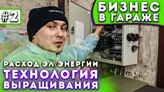 #2 Выращивание Шампиньонов | Расход Эл/Энергии | Бизнес В Гараже