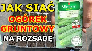 Jak i kiedy siać Ogórek gruntowy na Rozsadę | Rozsada Ogórka gruntowego - Siew