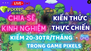 Pixels - Cách kiếm 300k Coin/ngày, cách trade cân value acc vip với nonvip trong game pixels