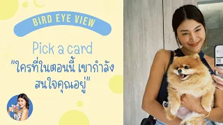 Pick a card ใครที่ในตอนนี้เขากำลังสนใจในตัวคุณอยู่