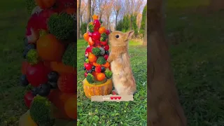 Cute straberry eating rabbit . A beautiful moment #1355 - #shorts