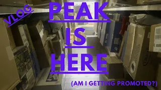 PEAK IS BACK (Am I Getting Promoted?)