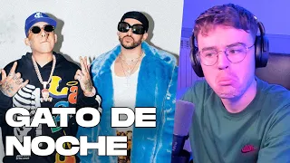 REACCIÓN y REVIEW a Ñengo Flow, Bad Bunny - Gato de Noche