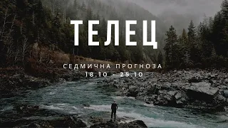 Телец