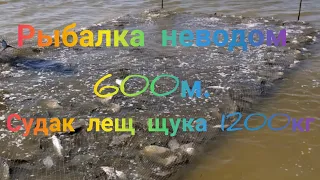 Рыбалка неводом 1200 кг.часть 2