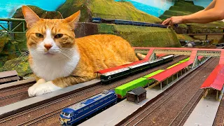 Do You Want to Take This Train? Cats Causing Train Accidents at the Diorama Café!