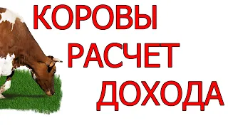 Бизнес на коровах. Расчет прибыли от молока и сыра. Бизнес-план. | Бизнес-идеи