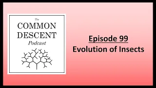 Episode 99 - Evolution of Insects