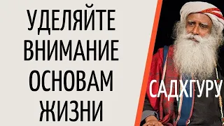 Садхгуру — Уделяйте внимание основам жизни.