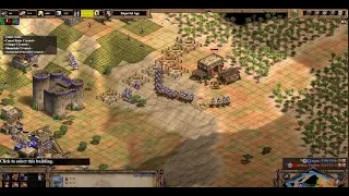 Holding and pushing | Ranked Noob 1v1 | Meganav | Age Of Empires 2