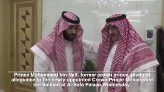 Mohammed bin Salman named Crown Prince