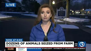 VIDEO: More than 100 animals seized from Beacon Falls farm