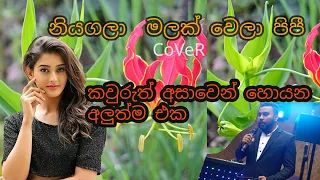 අහන්න අහන්න ආස හිතෙන ආසම සින්දුවක්/Niyagala Malak