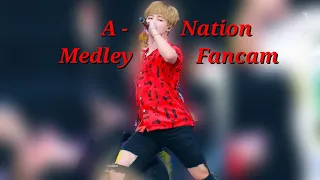 Jimin Medley (A-Nation Fancam)