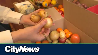 Toronto grocery service diverting imperfect food from landfill