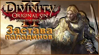 Divinity: Original Sin 2 – Застава паладинов