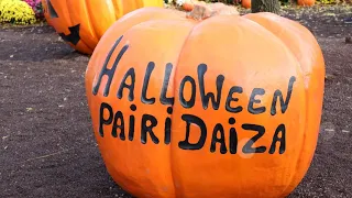 Halloween à Pairi daiza