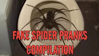 Fake Spider Pranks Compilation