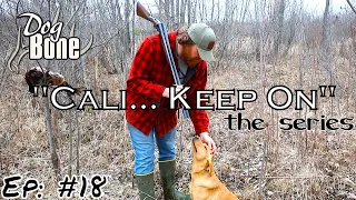 "Cali... Keep On" Day to Day Bird Dog Training Series | Ep: #18