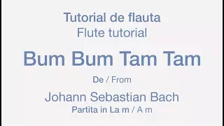 Bum Bum Tam Tam: Flute Tutorial