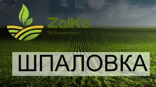 Озимая Пшеница ШПАЛОВКА Украина 2020 Супер сорт , Мега урожай , даже в сложных Условиях